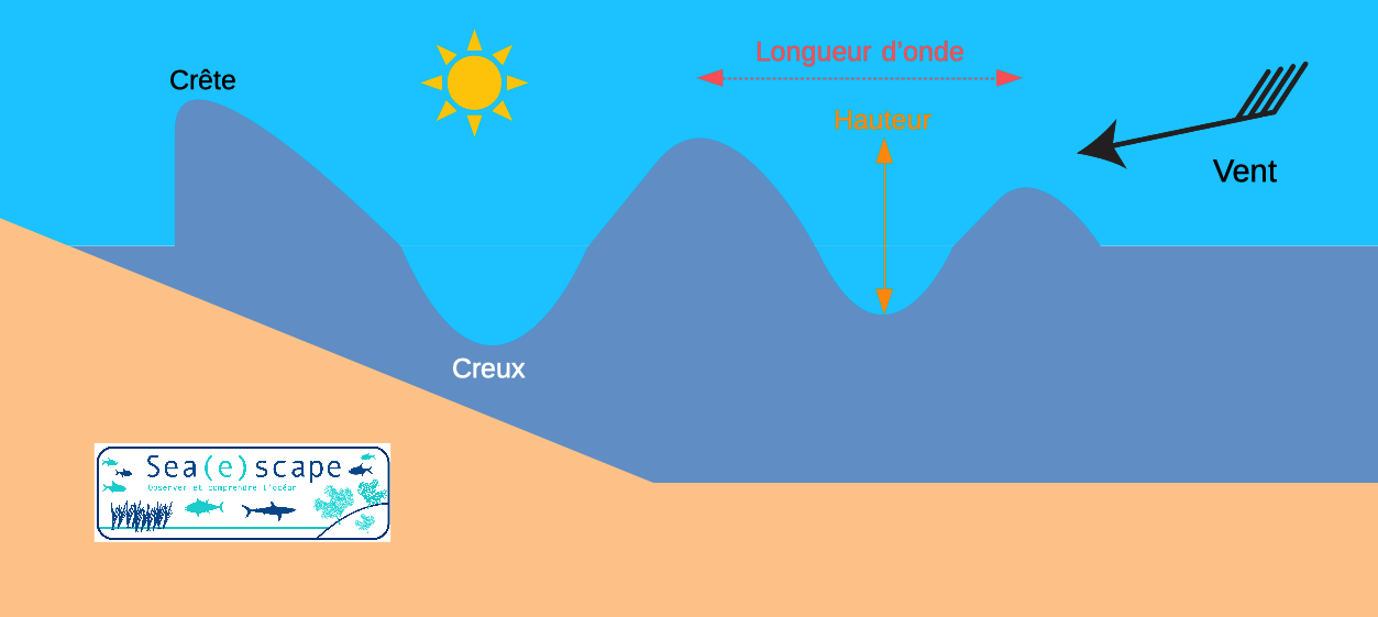 La circulation océanique - Sea(e)scape