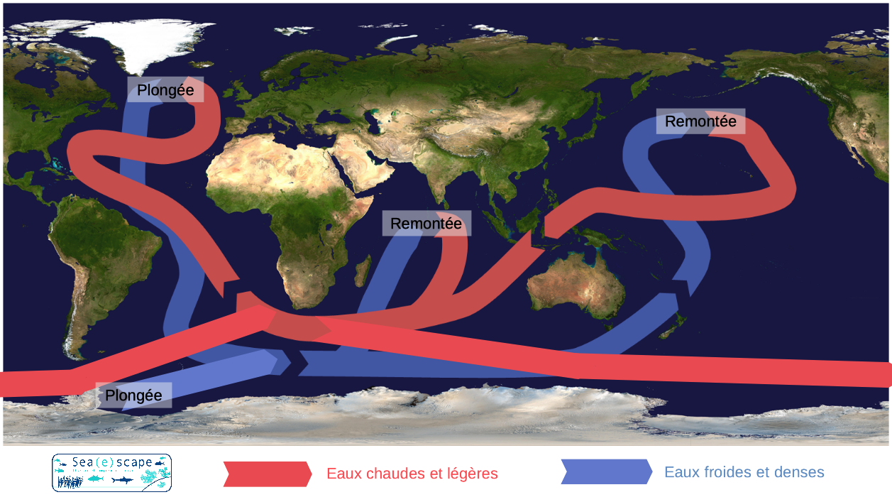 La circulation océanique Sea(e)scape — free download