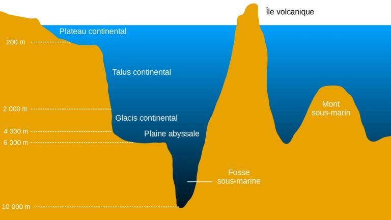 La Course Aux Abysses Quand Comment Pourquoi