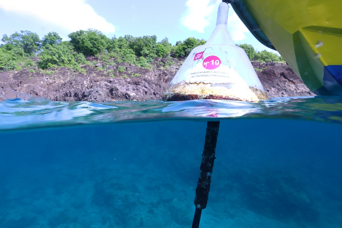 Protection de la haute mer : « Il reste encore beaucoup de travail »