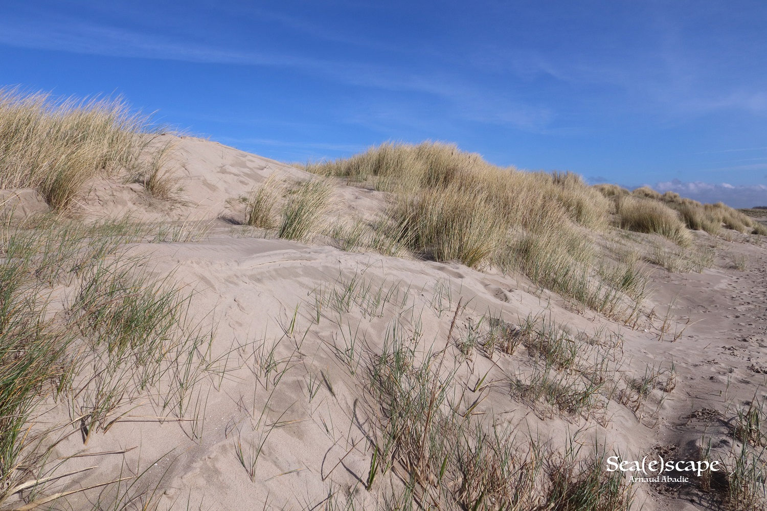 La baie d’Authie entre érosion côtière et rencontre avec le Vivant